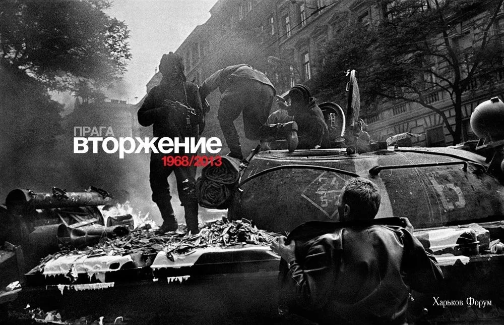 33e77af7f29503e3.webp