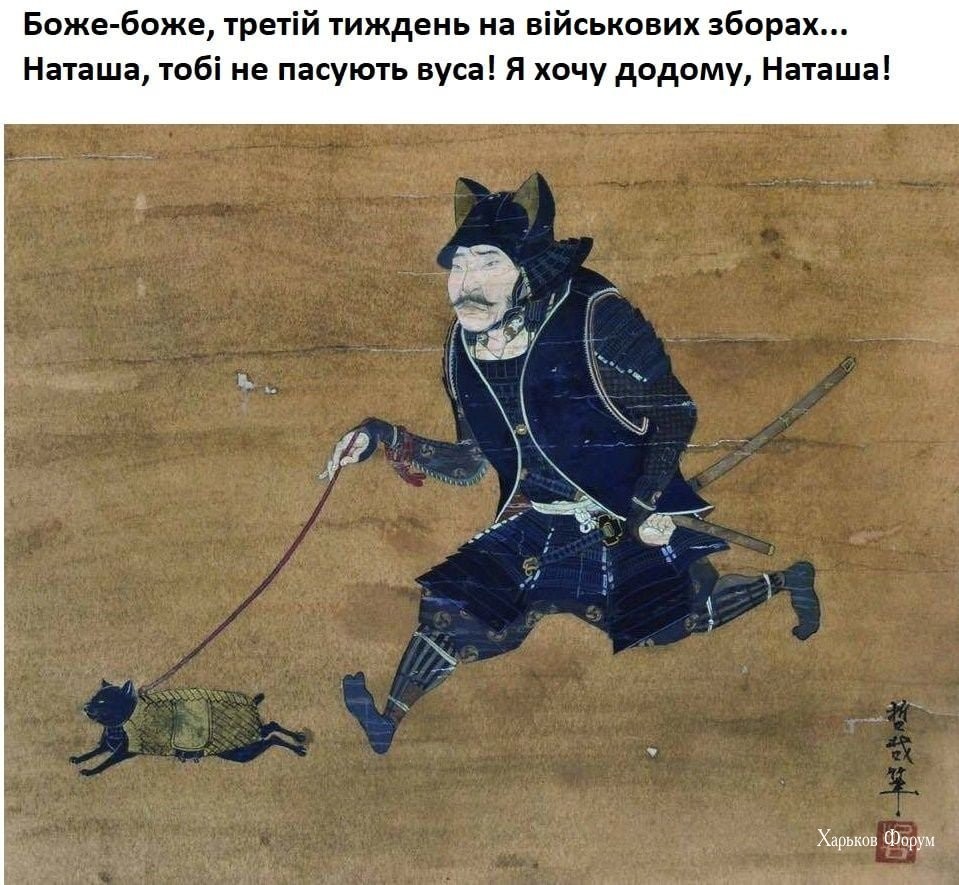 33ea943333925af7731160.jpg