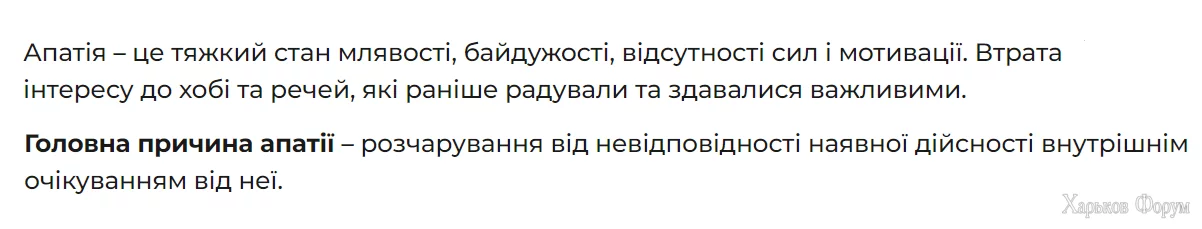 34.webp