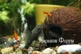 3402abdeceb8a1750.webp