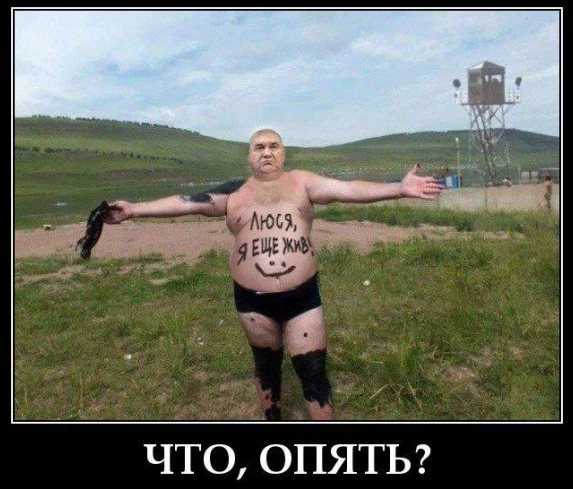 3403260.webp