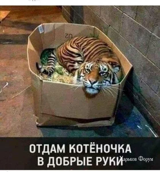 34070862df55604712974.webp