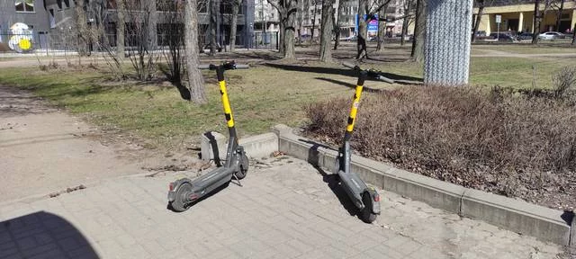 34117342.webp