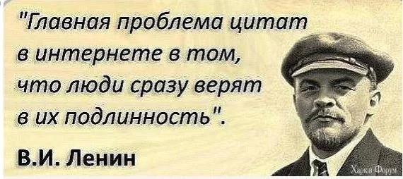 341556_original.webp
