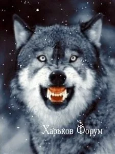 34167beb4a4eb19b.webp