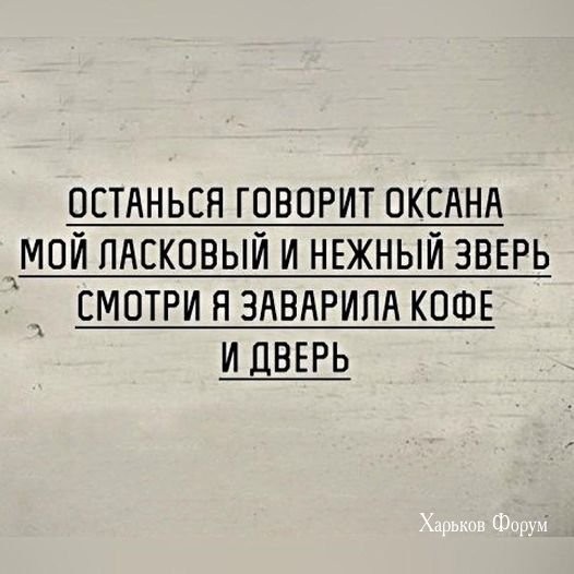 3417f2231a07e09f17b5dec5.jpg