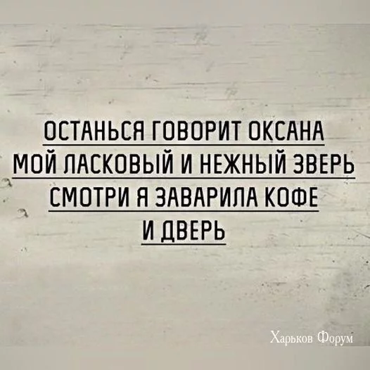 3417f2231a07e09f17b5dec5.webp