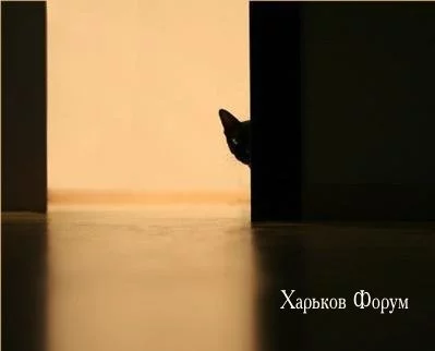 34278b3f0e2a78e32ffc74cc.webp