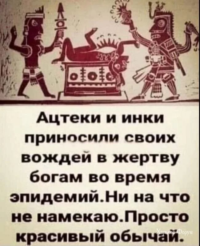 342eb8aa984ce263e.webp