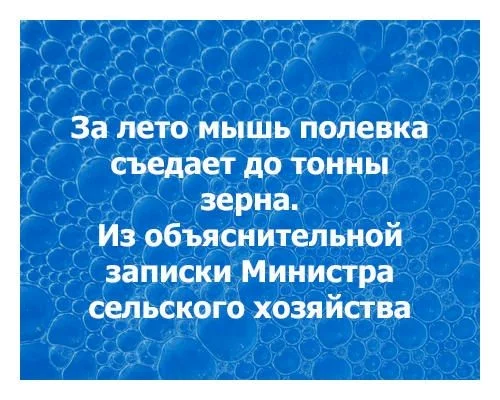 3433c484.webp