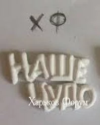 3434662530443d75d1e521e.webp