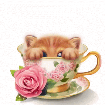 3436592297105b47310382d736ea9ca6.gif