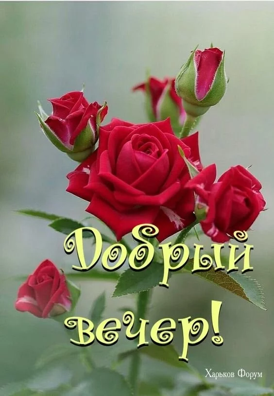 34457f9f44fe73611054.webp