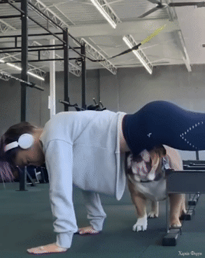 345.gif