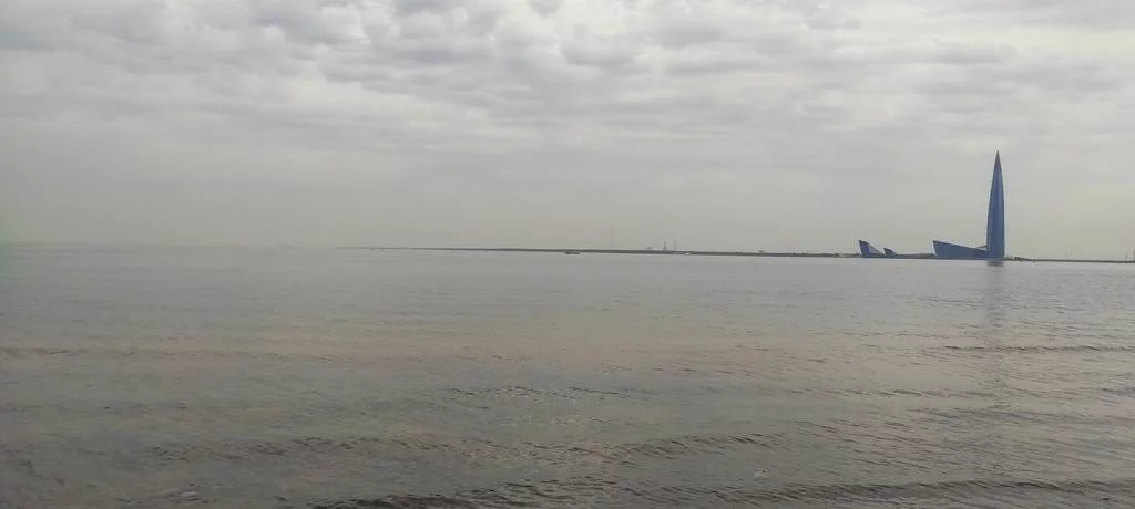 34500475.webp