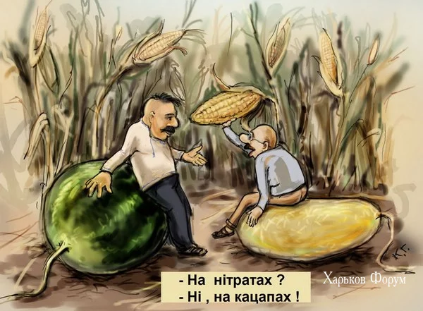 3456d85aa1affebeb1.webp