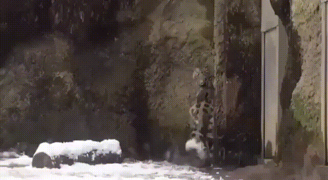 34630f19110684d9509ff.gif