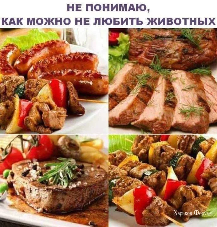 3463d3614e78d02a3b406.webp