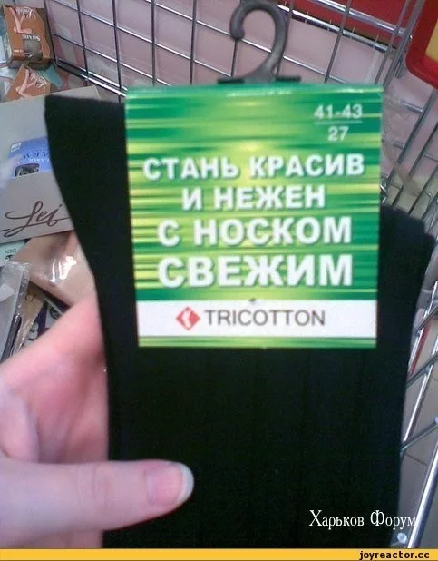 347475f0a085a673a7aa7f8d.webp