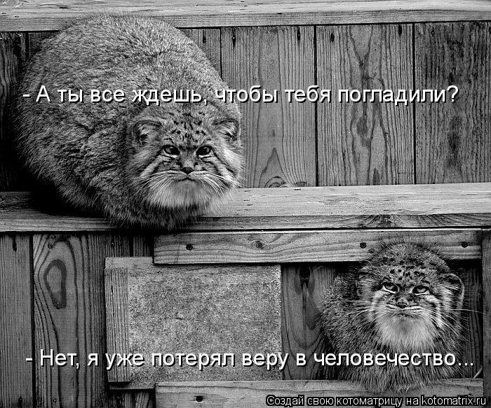 34765966.webp