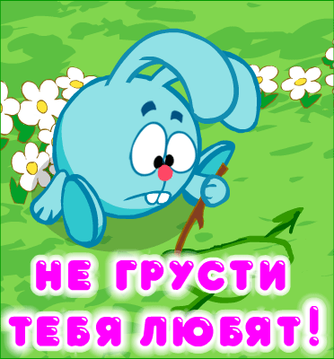 347986923.gif