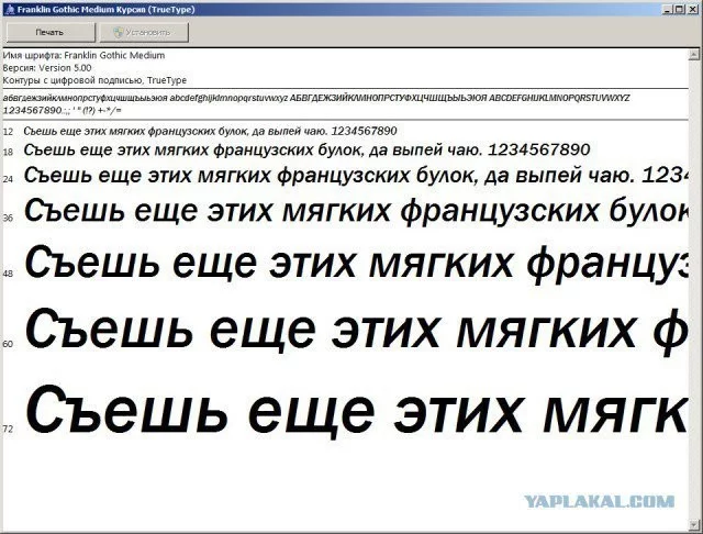 34821d6f8a28b132.webp