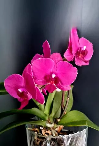 34856301_m.webp