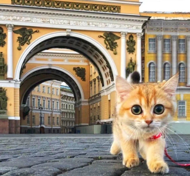 34880162.webp