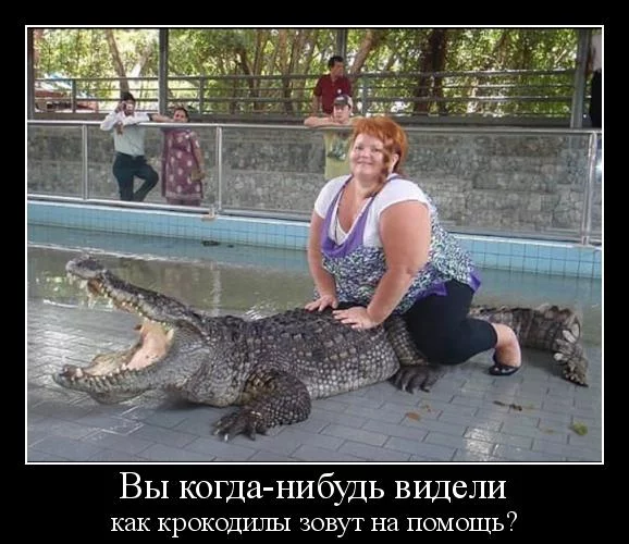 34914b582c23bfd4c57bb7c10556f397.webp