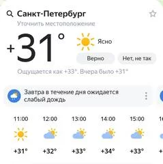 34918517.webp