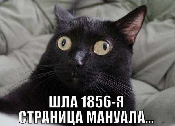 349697abb5371e7c0e23b9f9efcef96a.jpg