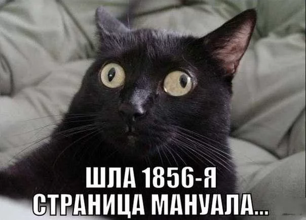 349697abb5371e7c0e23b9f9efcef96a.webp