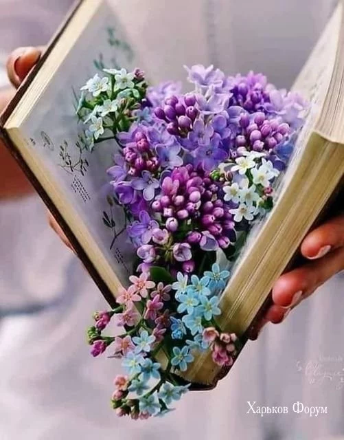 34b5ba2dc95aea00eb4e9645.webp