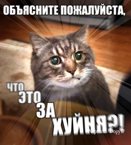 34b5e3ae5b46c09cecff5.webp