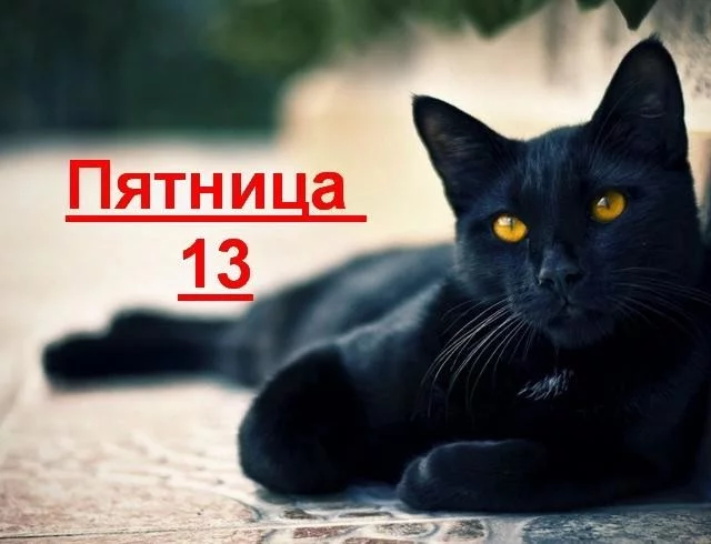 34bf2c4ed0d0d52dcbb1a98526752358.webp