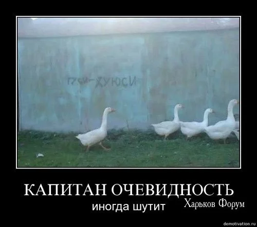 34d690e1200b821b.webp