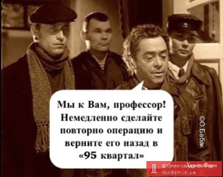 350165f7a3b48164.webp