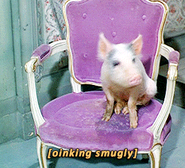 35031fa902fc9a0f11a3317061f86f2e3bfff0f4.gif