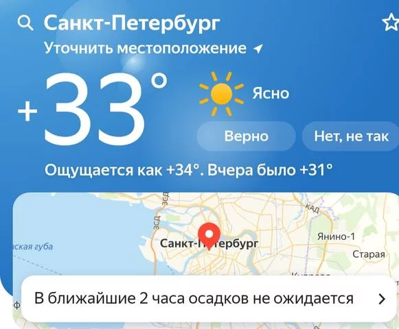 35117425.webp