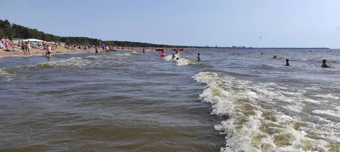 35198826.webp