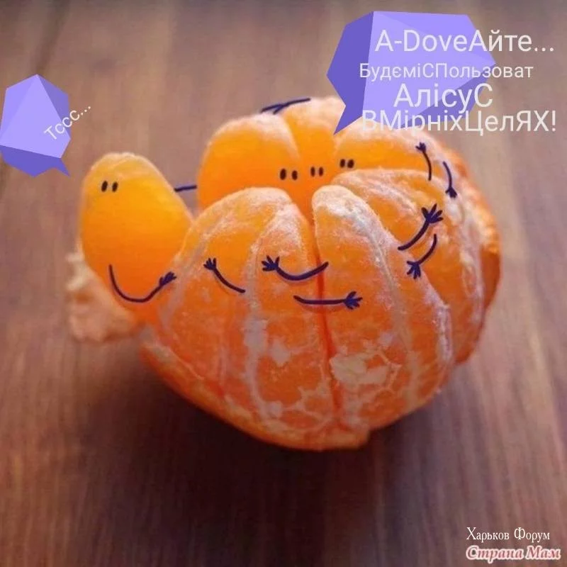 352b533f99c130c12588f7c.webp