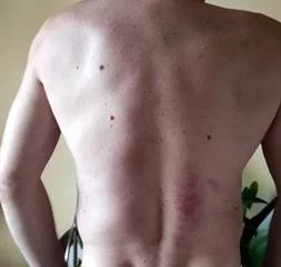 35375835.webp