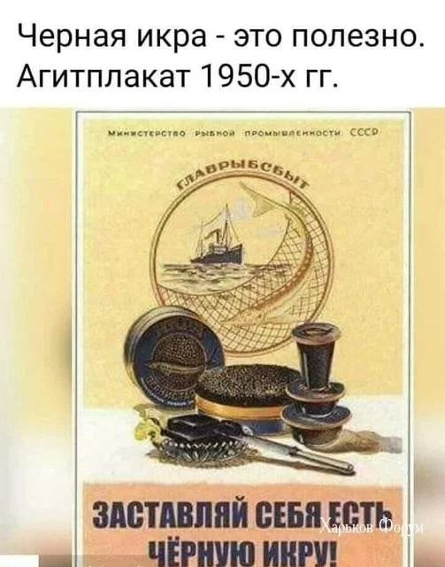 353ab2161d0b8ca43b05f.webp