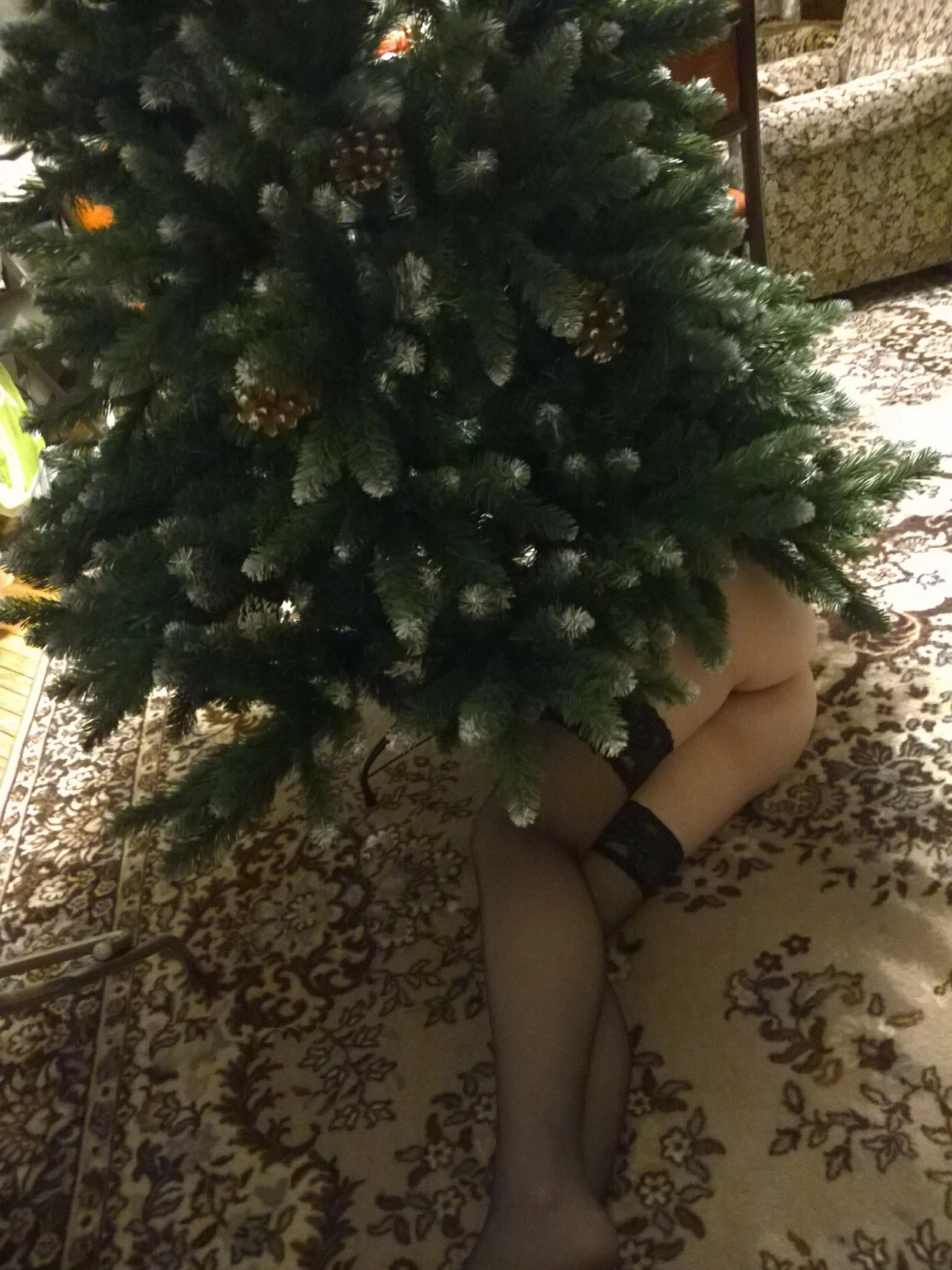 3554441_original.webp