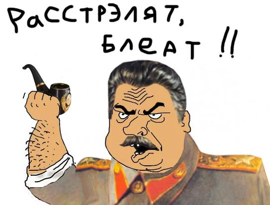 355640.webp