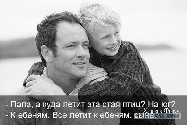 3560660567611fbc7a7.webp