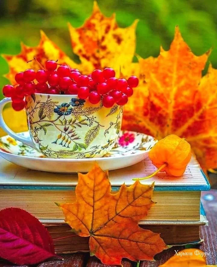 35722bc24e9f05077dfb0.webp