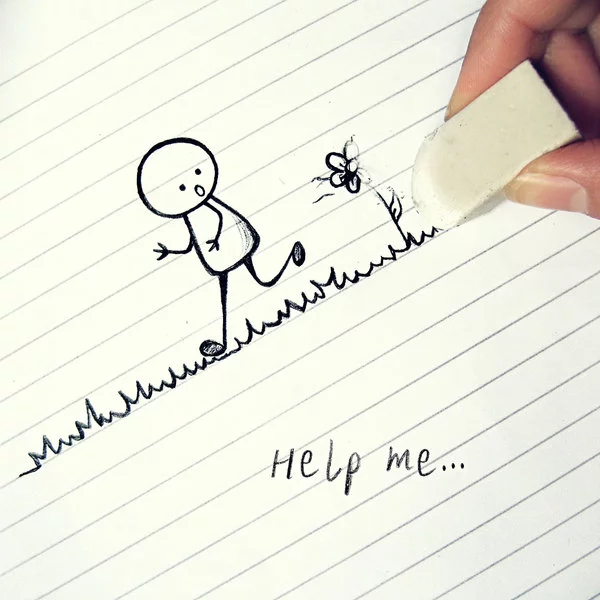 35779.webp