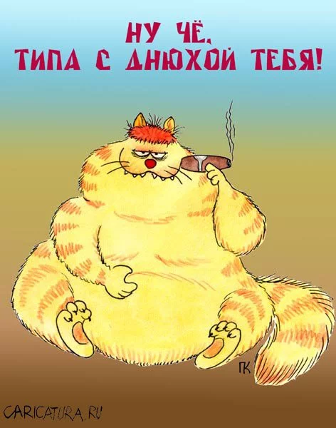 3581.webp