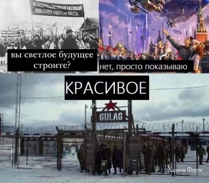 3583b7ef7bd183d01c17b.webp